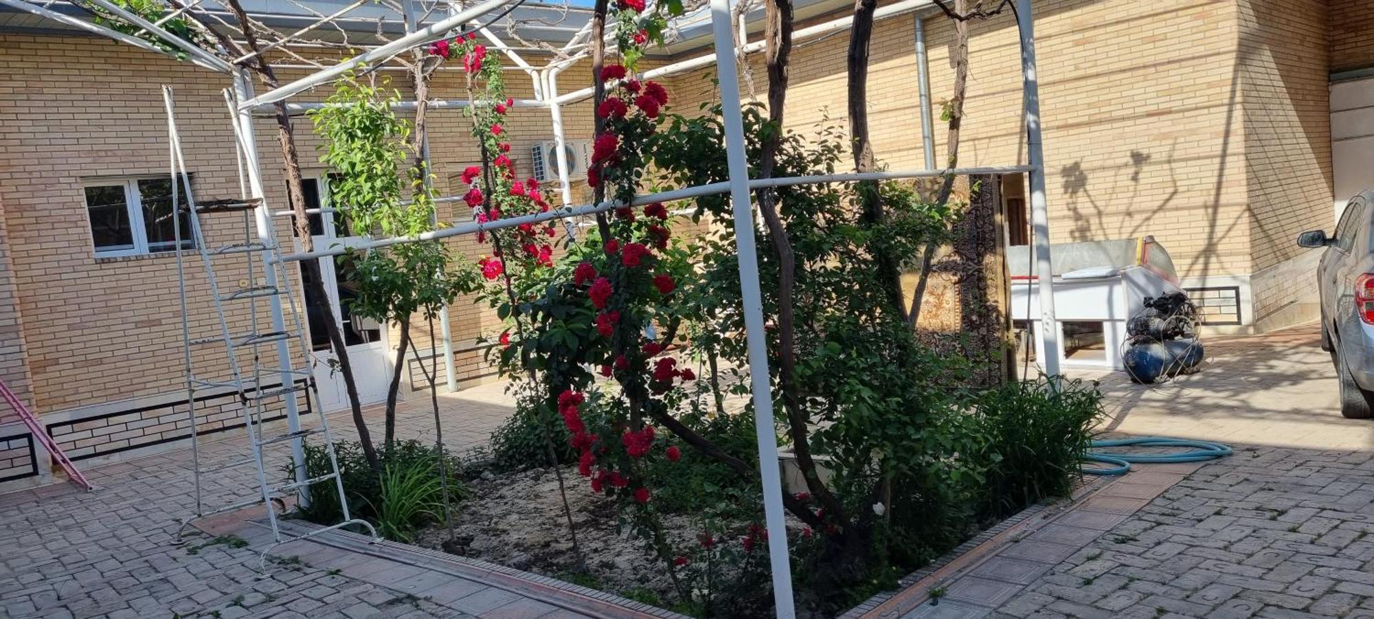 סמרקנד Guest House Muborak מראה חיצוני תמונה